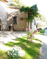 All'Ombra di San Damiano