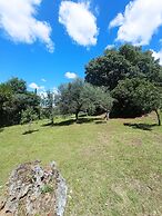 All'Ombra di San Damiano