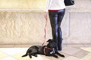 Vitória Hotel Residence Newport