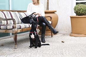 Vitória Hotel Residence Newport