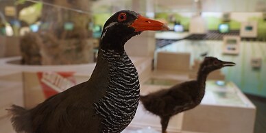 Ada Garden Hotel Okinawa