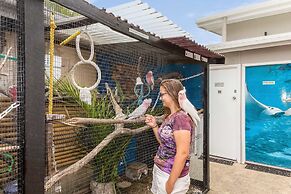 Coral Inn Boutique Resort