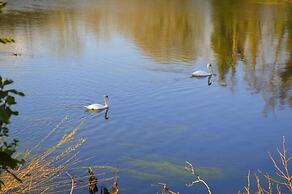 Killarney View House B&B