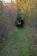 Hôtel Motel Les Voitures d'Eau