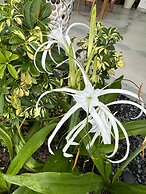 Orlowsky Discovery Candidasa Hotel