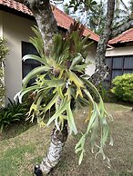 Orlowsky Discovery Candidasa Hotel