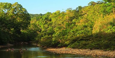 Suchipakari Jungle Lodge
