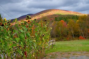 Mountain Treasure B&B