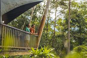 Rose Gums Wilderness Retreat