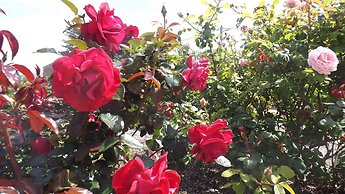 Casa Murina Hôtel Demeure Ecologique