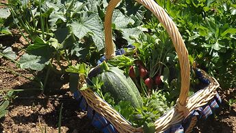 Casa Murina Hôtel Demeure Ecologique