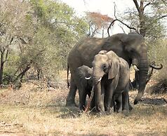 Ecolux Boutique Hotel