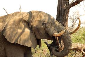 Ecolux Boutique Hotel