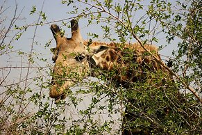 Ecolux Boutique Hotel