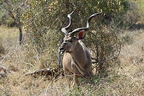 Ecolux Boutique Hotel