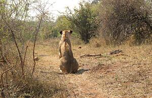 Ecolux Boutique Hotel