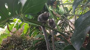 Pousada Litoral Paraty