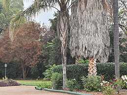 The Aston Motel - Tamworth