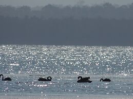 Paradise Bungalow Waterfront