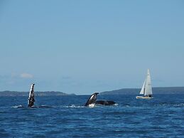 Paradise Bungalow Waterfront