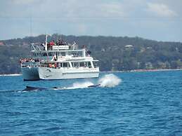 Paradise Bungalow Waterfront