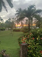 Hotel Casa De Las Flores