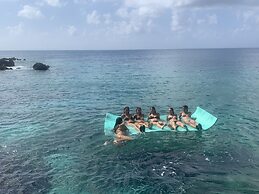 Hotel Casa De Las Flores