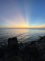 Hotel Casa De Las Flores