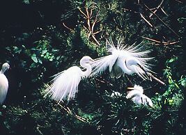 HOTEL LiVEMAX Himeji Ekimae