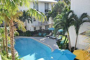 Coral Reef at Key Biscayne