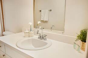 Coral Reef at Key Biscayne