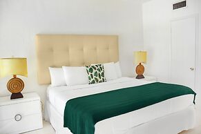 Coral Reef at Key Biscayne