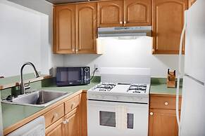 Coral Reef at Key Biscayne