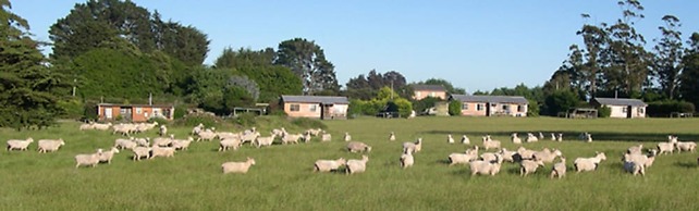 AAA Granary Accommodation
