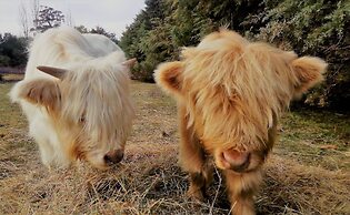 AAA Granary Accommodation