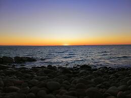 Sea Dragon Kangaroo Island