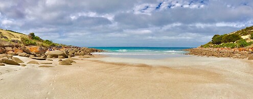Sea Dragon Kangaroo Island