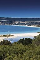 Sea Dragon Kangaroo Island