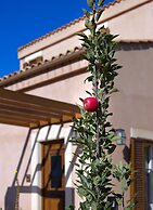 Eliathos Hillside Retreat