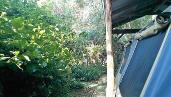 The Black Cockatoo Nannup