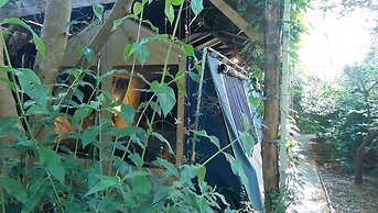 The Black Cockatoo Nannup