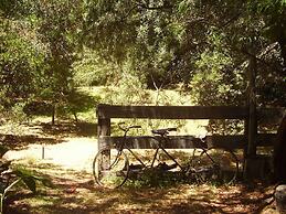 The Black Cockatoo Nannup