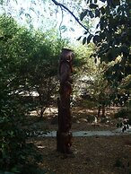 The Black Cockatoo Nannup