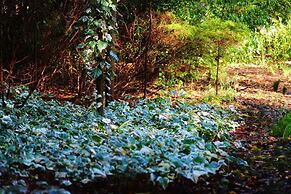 The Black Cockatoo Nannup
