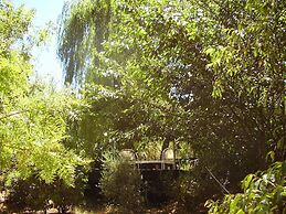 The Black Cockatoo Nannup