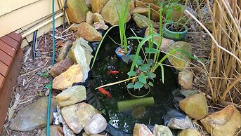 The Black Cockatoo Nannup