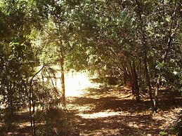 The Black Cockatoo Nannup