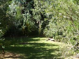 The Black Cockatoo Nannup