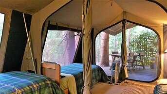 The Black Cockatoo Nannup