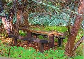 The Black Cockatoo Nannup